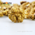 White and abmber walnut kernel from premium walnut